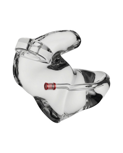 LINÉA (Obturateur Filtre Linéaire)