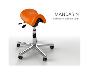       Siège ergonomique BAMBACH de la marque GAMMADIS
  