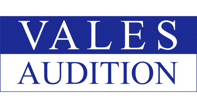   Logo du centre VALES AUDITION
