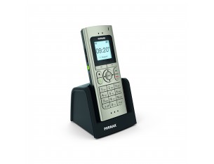       DECT II de la marque PHONAK
  