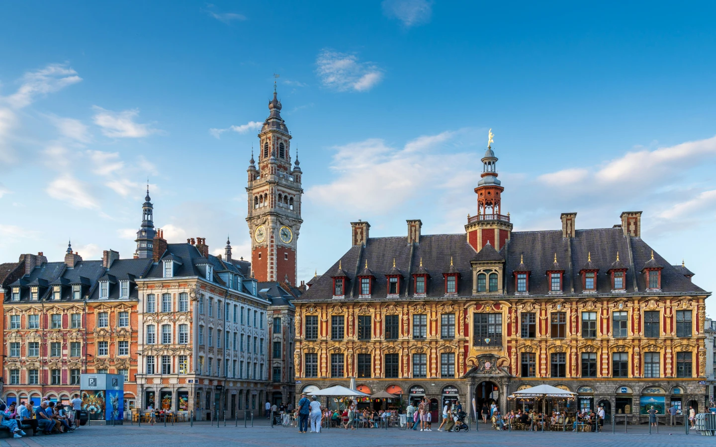   Médecins ORL LILLE - Photo de la ville
